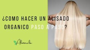 Lee más sobre el artículo Cómo Hacer un Alisado Orgánico Paso a Paso