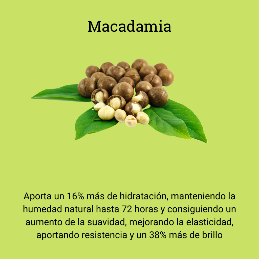 aceite de macadamia